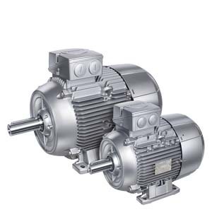 1LE1001-1AA49-0AB4 Siemens